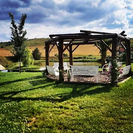 Park Eagle Stone 3* Koprivștița