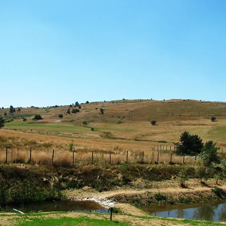 Hotel Park Eagle Stone Koprivștița