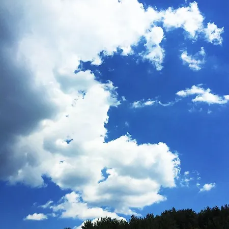 Hotel Park Eagle Stone