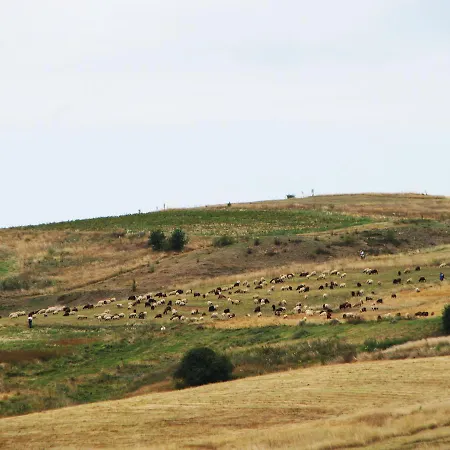 Hotel Park Eagle Stone