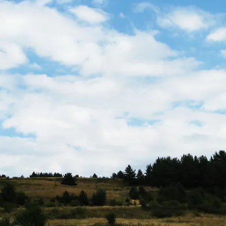 Park Eagle Stone Hotel Koprivștița