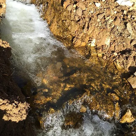 Park Eagle Stone Hotel Koprivștița