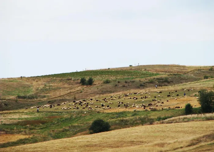 Хотел парк-хотел орлов камък